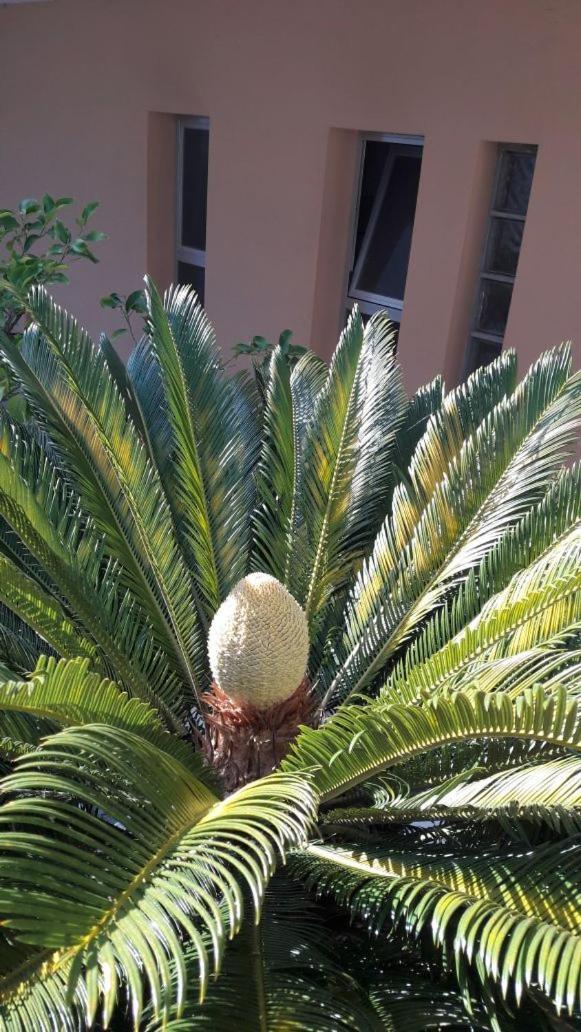 Albergo Larenzia Κατόλικα Εξωτερικό φωτογραφία